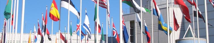 International flags representing world and european languages
